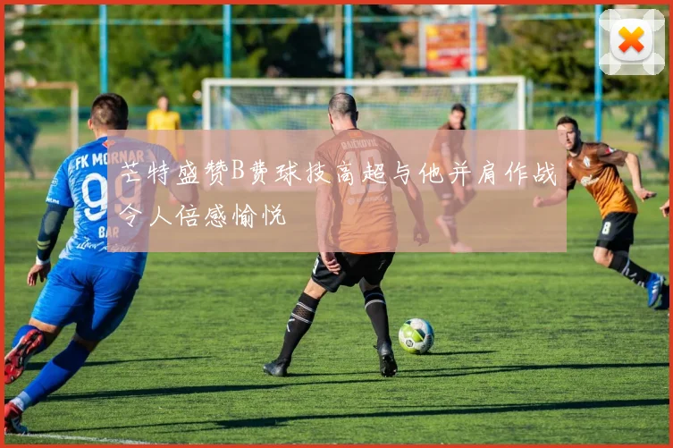 芒特盛赞B费球技高超与他并肩作战令人倍感愉悦