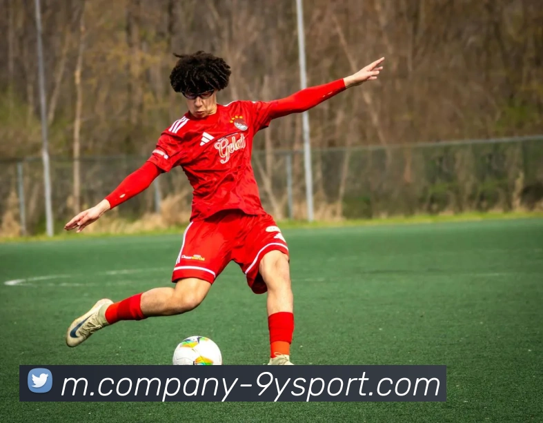 九游体育平台生态图